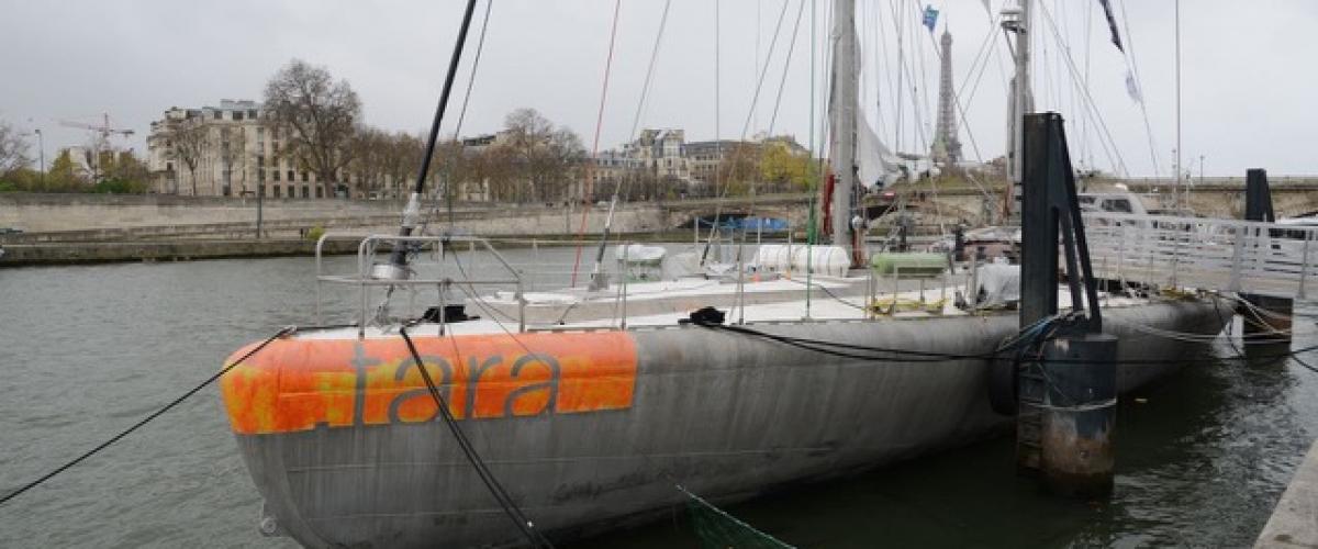 L’Equipe Cousteau à l’évènement de haut niveau « Because the Ocean », dimanche 29 Novembre.