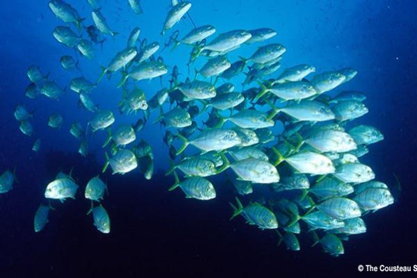 The World Ocean Summit 2015 The World Ocean Summit 2015