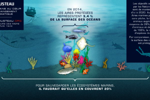 Les océans au cœur du changement climatique Les océans au cœur du changement climatique