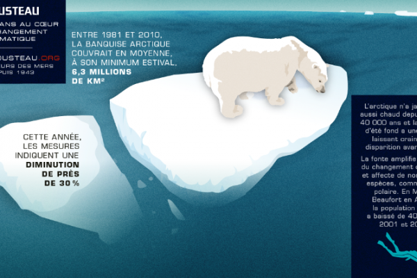 COP 21 : L’Equipe Cousteau présente les enjeux du changement climatique en arctique COP 21 : L’Equipe Cousteau présente les enjeux du changement climatique en arctique