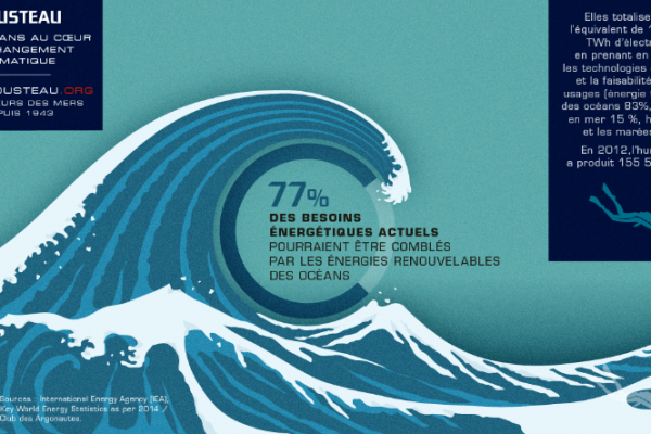 Selon 30 pays les plus vulnérables comme pour Cousteau : +1,5°C max d’ici à 2100 et 100 % d’énergies renouvelables d’ici 2050 c’est possible ! Selon 30 pays les plus vulnérables comme pour Cousteau : +1,5°C max d’ici à 2100 et 100 % d’énergies renouvelables d’ici 2050 c’est possible !